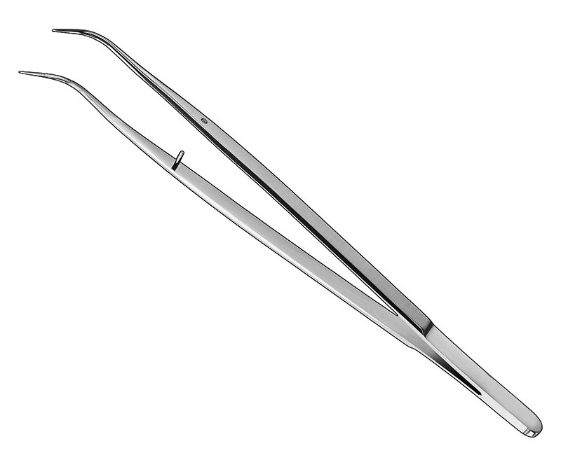 Cotton Forceps